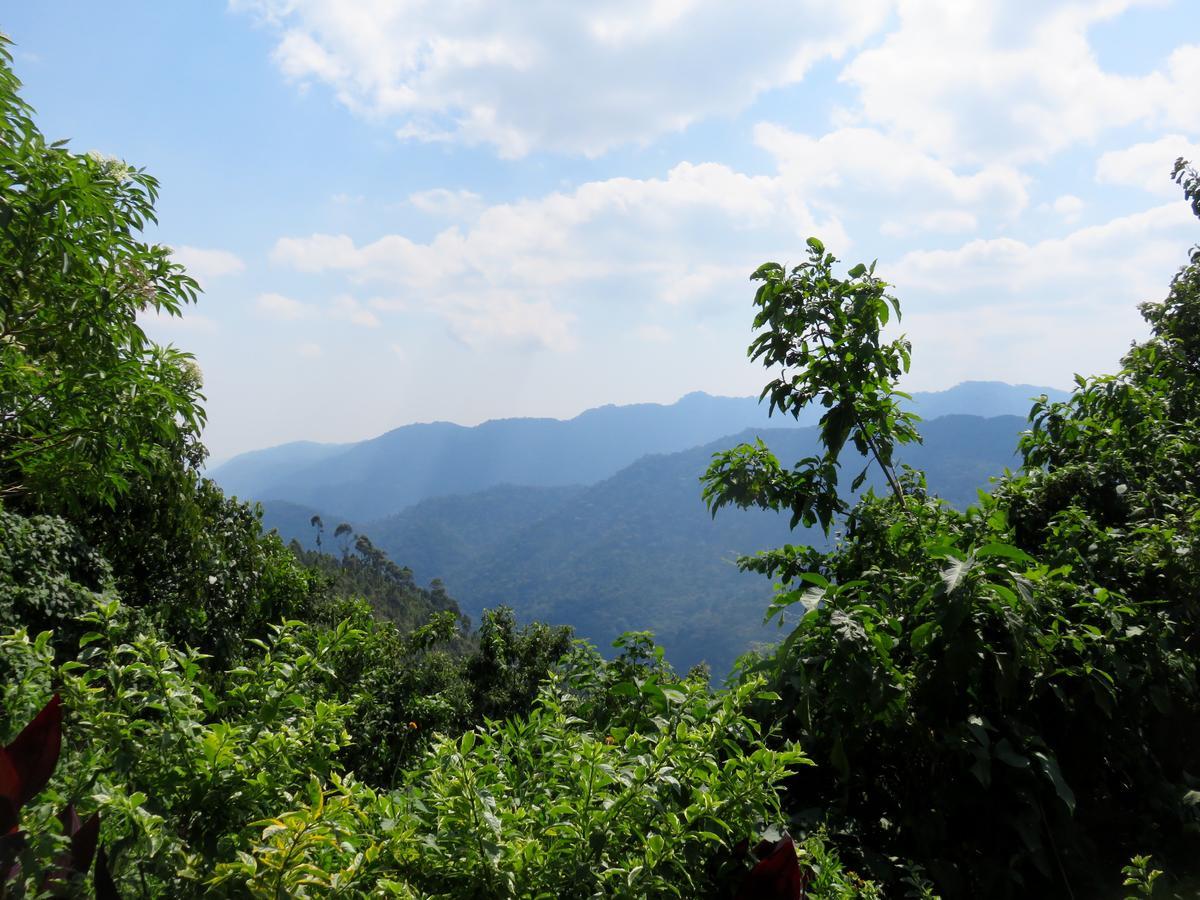 Nkuringo Bwindi Gorilla Lodge Exteriér fotografie