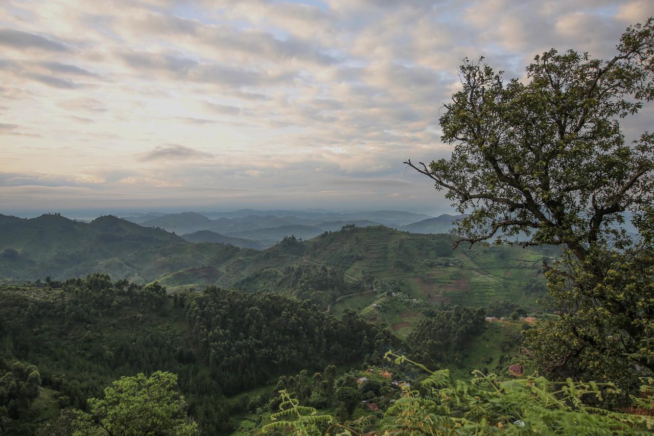 Nkuringo Bwindi Gorilla Lodge Exteriér fotografie