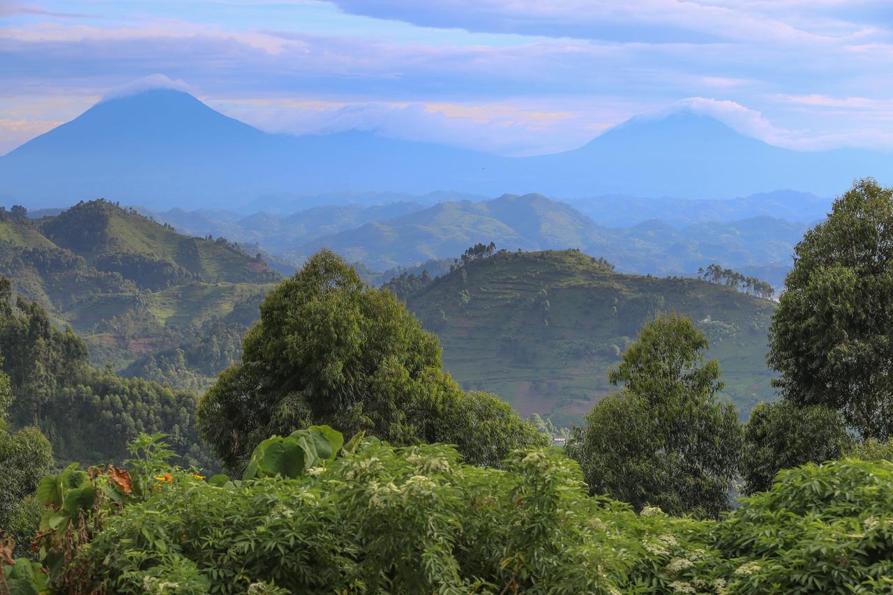Nkuringo Bwindi Gorilla Lodge Exteriér fotografie
